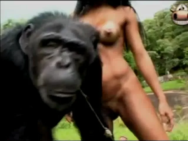 xxx monkey sex